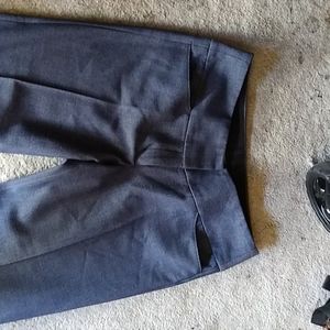Express Dress Pant size 4L
